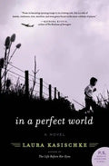 In a Perfect World - Paperback