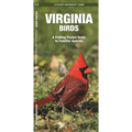 Virginia Birds: A Folding Pocket Guide to Familiar Species - Paperback