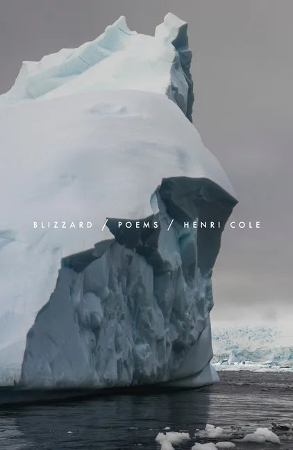 Blizzard: Poems - Paperback