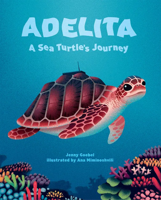 Adelita, a Sea Turtle's Journey - Hardcover