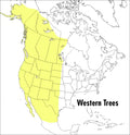A Peterson Field Guide to Western Trees: Western United States and Canada - Paperback