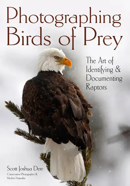 Photographing Birds of Prey: The Art of Identifying & Documenting Raptors - Paperback