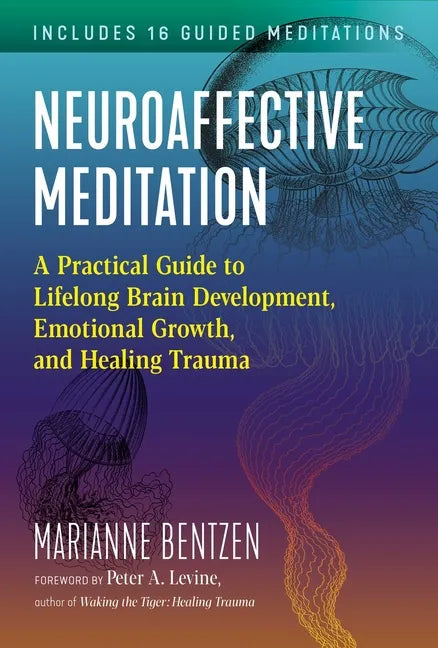 Neuroaffective Meditation: A Practical Guide to Lifelong Brain Development, Emotional Growth, and Healing Trauma - Paperback