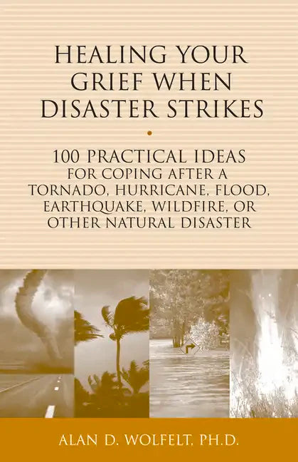 Healing Your Grief When Disaster Strikes: 100 Practical Ideas for Coping After a Tornado, Hurricane, Flood, Earthquake, Wildfire, or Other Natural Dis - Paperback