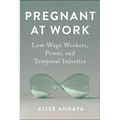 Pregnant at Work: Low-Wage Workers, Power, and Temporal Injustice - Hardcover