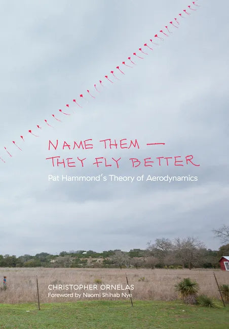 Name Them--They Fly Better: Pat Hammond's Theory of Aerodynamics - Paperback