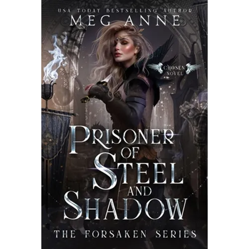 Prisoner of Steel and Shadow - Paperback