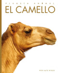 El Camello - Paperback