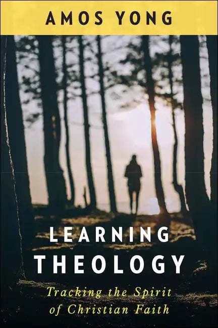 Learning Theology: Tracking the Spirit of Christian Faith - Paperback