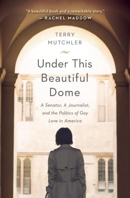 Under This Beautiful Dome: A Senator, a Journalist, and the Politics of Gay Love in America - Paperback
