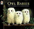 Owl Babies - Paperback