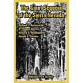 The Giant Sequoia of the Sierra Nevada - Paperback