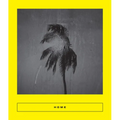Home: New Arabic Poems - Paperback