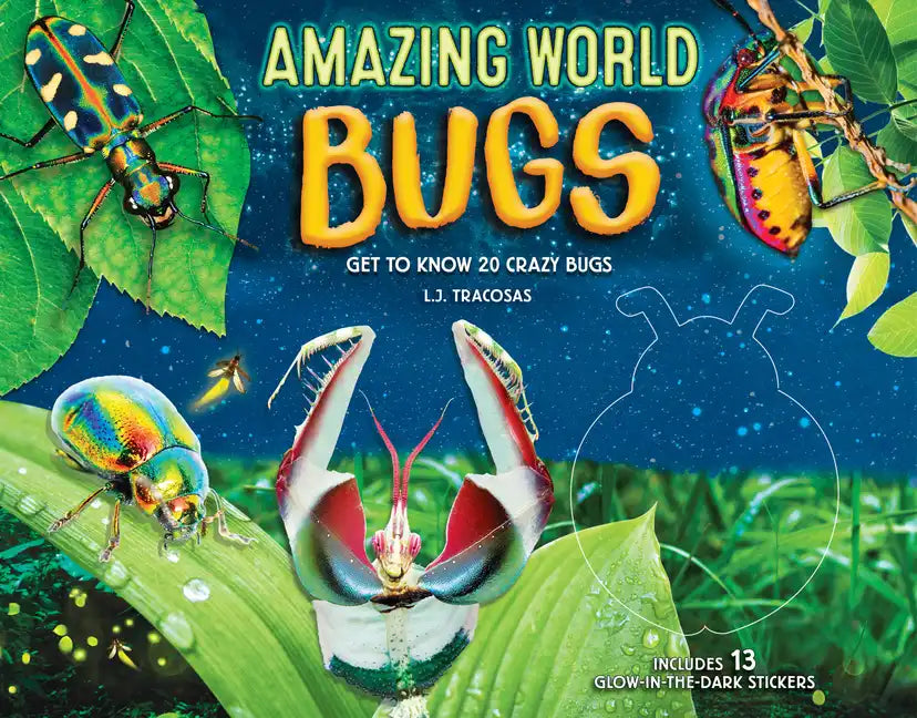 Amazing World: Bugs: Get to Know 20 Crazy Bugs - Hardcover