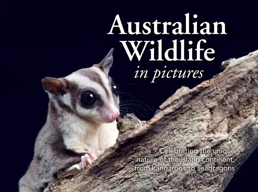Australian Wildlife in Picture: Celebrating the Unique Nature of the Island Continent, from Kangaroos to Sea Dragons - Paperback