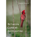 Between Gone and Everlasting - Paperback