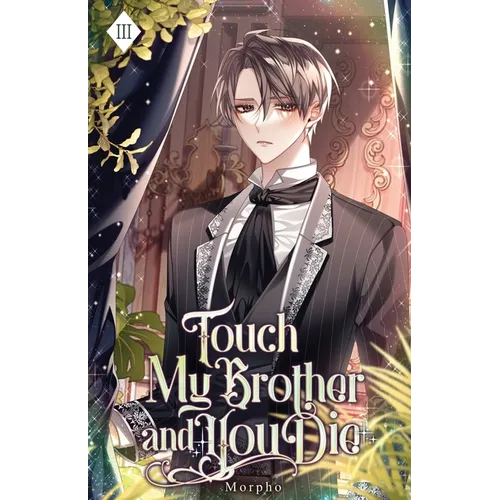 Touch My Brother and You Die: Volume III (Light Novel) - Paperback