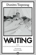 Waiting: Stories: Stories - Paperback