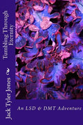 Tumbling Through Eternity: An LSD & DMT Adventure - Paperback