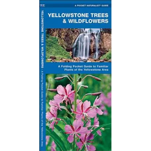 Yellowstone Trees & Wildflowers: A Folding Pocket Guide to Familiar Plants of the Yellowstone Area