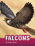 Falcons - Paperback