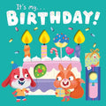 It's My Birthday: With Super Sliders to Reveal Hidden Surprises - Board Book