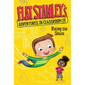 Flat Stanley's Adventures in Classroom 2e #2: Riding the Slides - Hardcover
