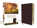 Amplified Bible-Am: Captures the Full Meaning Behind the Original Greek and Hebrew - Bonded Leather