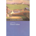 A Celtic Psaltery - Paperback