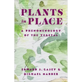 Plants in Place: A Phenomenology of the Vegetal - Paperback