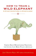 How to Train a Wild Elephant: And Other Adventures in Mindfulness - Paperback