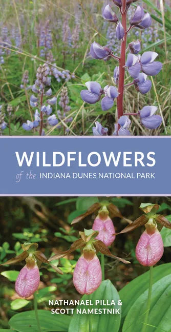 Wildflowers of the Indiana Dunes National Park - Paperback