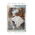 In the Wake - Hardcover