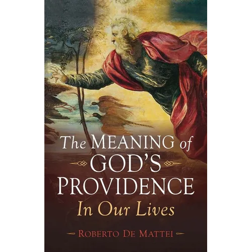 The Meaning of God's Providence: In Our Lives - Paperback