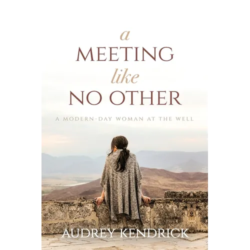 A Meeting Like No Other: A Modern-Day Woman at the Well - Paperback