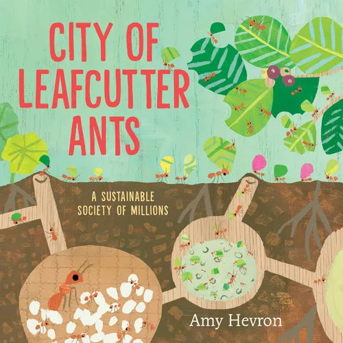 City of Leafcutter Ants: A Sustainable Society of Millions - Hardcover