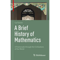 A Brief History of Mathematics: A Promenade Through the Civilizations of Our World - Hardcover