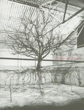 Katie Holten: Paths of Desire - Paperback