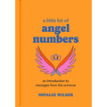 A Little Bit of Angel Numbers: An Introduction to Messages from the Universe - Hardcover