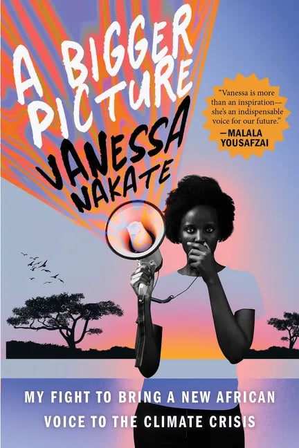 A Bigger Picture: My Fight to Bring a New African Voice to the Climate Crisis - Paperback