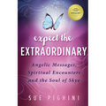 Expect the Extraordinary: Angelic Messages, Spiritual Encounters and the Soul of Skye - Paperback