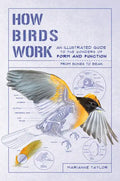 How Birds Work: An Illustrated Guide to the Wonders of Form and Function - From Bones to Beak - Paperback