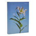 NRSV Catholic Edition Bible, Easter Lily Hardcover (Global Cover Series): Holy Bible - Hardcover
