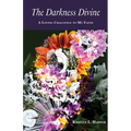 The Darkness Divine: A Loving Challenge to My Faith - Paperback