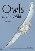 Owls in the Wild: A Visual Essay - Paperback