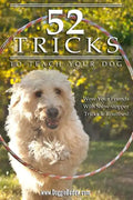52 Tricks To Teach Your Dog - Paperback