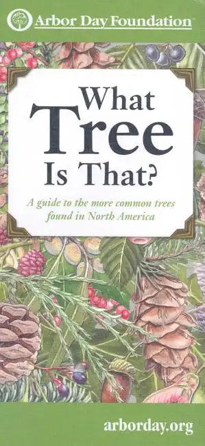 What Tree Is That?: A Guide to the More Common Trees Found in North America - Paperback