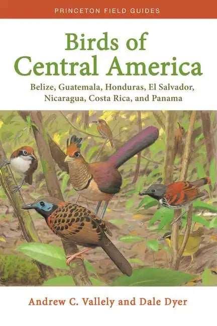 Birds of Central America: Belize, Guatemala, Honduras, El Salvador, Nicaragua, Costa Rica, and Panama - Paperback