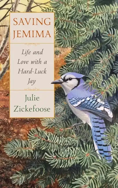 Saving Jemima: Life and Love with a Hard-Luck Jay - Hardcover
