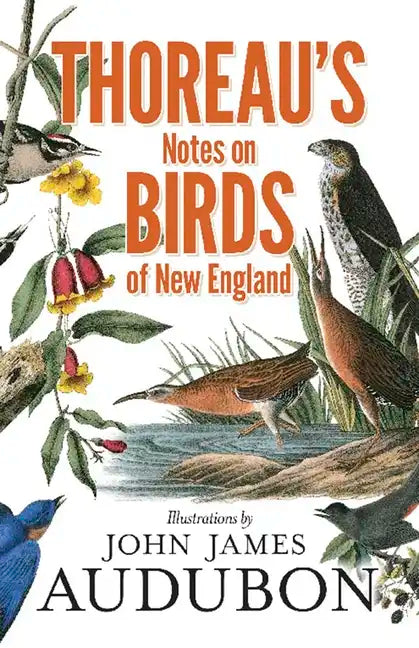 Thoreau's Notes on Birds of New England - Paperback